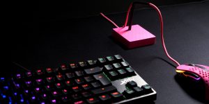 Xtrfy-B4-PINK-Mouse-Bungee-Herogallery_005