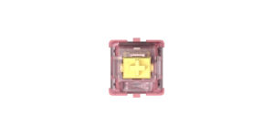 Xtrfy-BLOSSOM-Switches-Hero_02